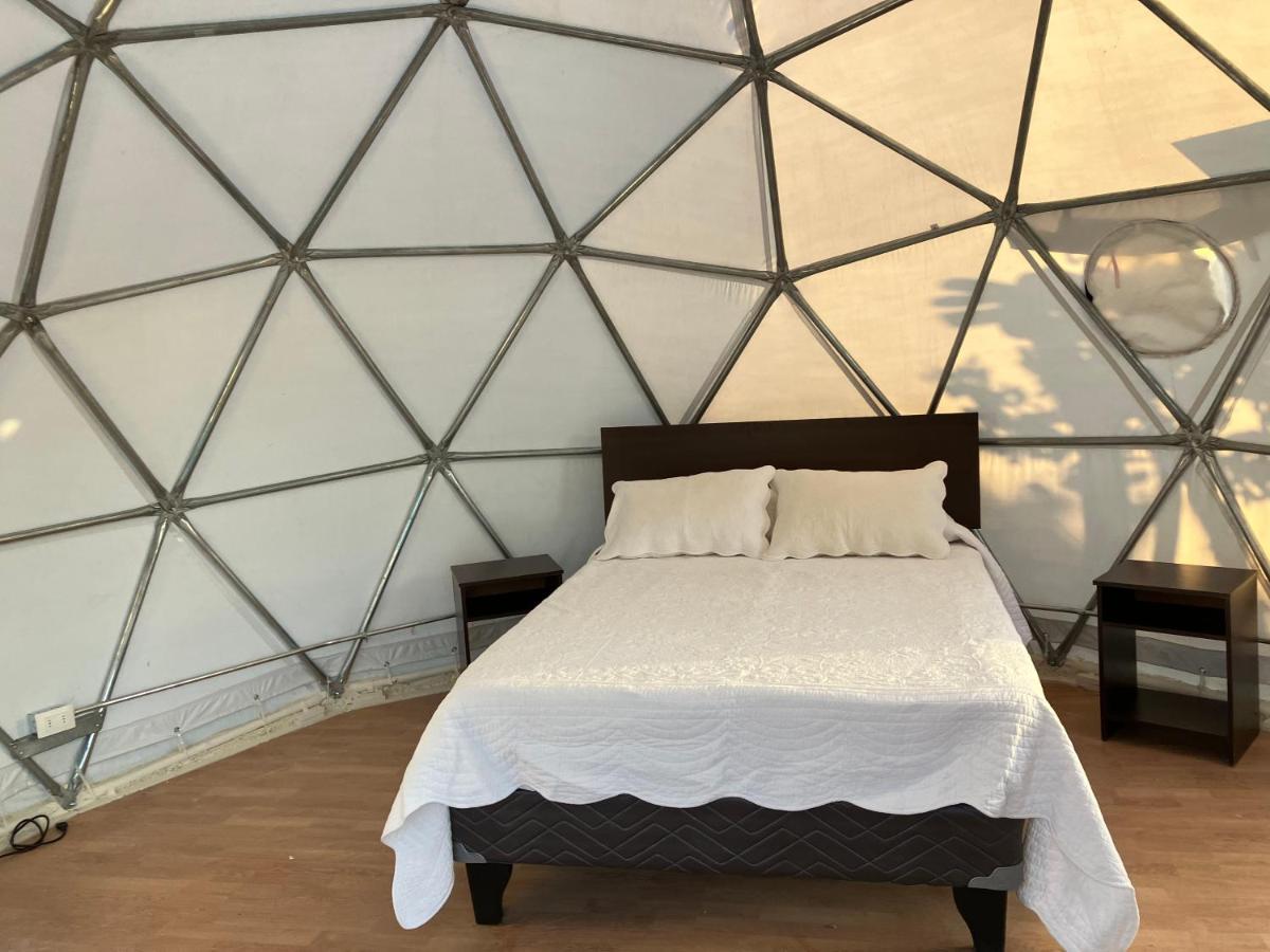 Glamping Vinas De Elqui * Vicuña