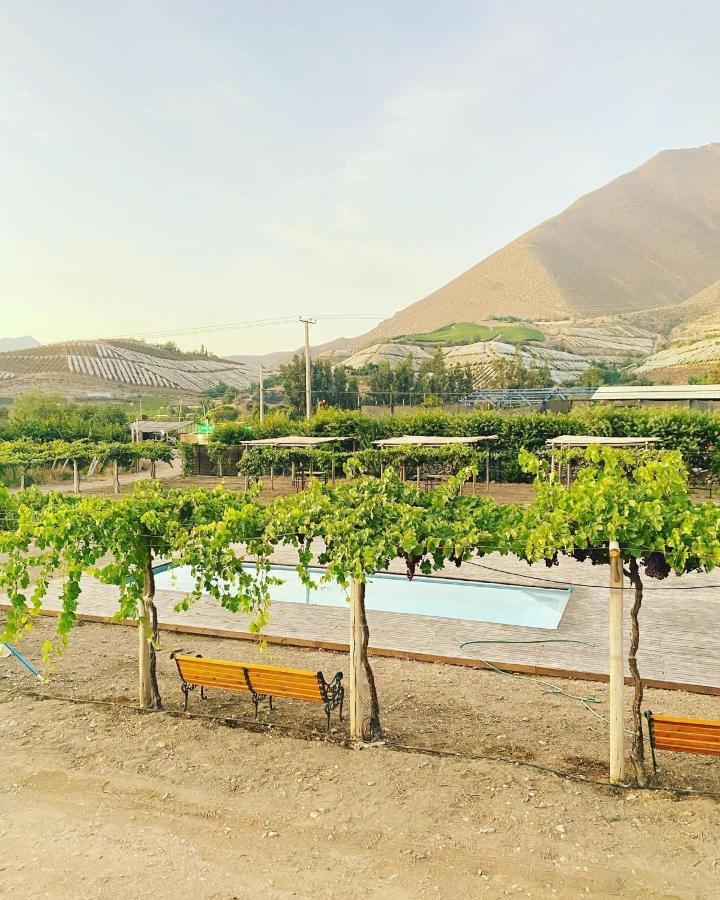 Glamping Vinas De Elqui *