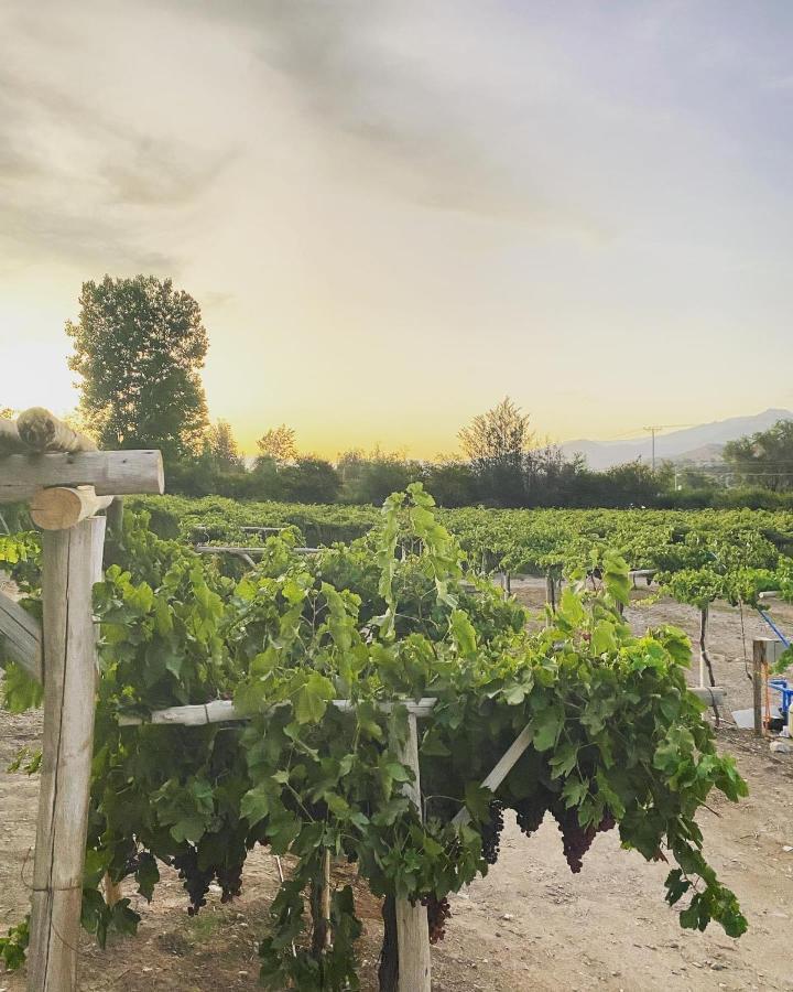 Glamping Vinas De Elqui Campo de lujo