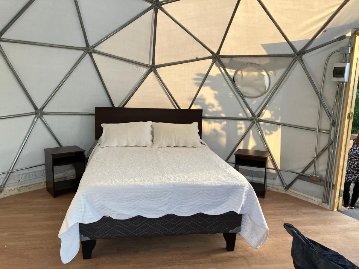 Glamping Vinas De Elqui Campo de lujo Vicuña