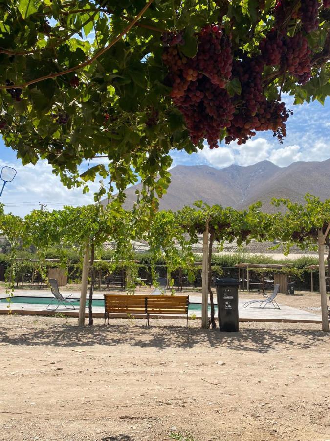 Glamping Vinas De Elqui *